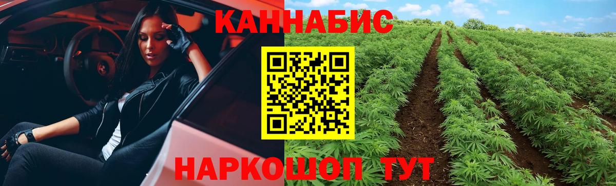 Бошки Шишки ГИДРОПОН  Марихуана конопля  Вход с VPN  Аргун  Бошки Шишки MAZAR  Бошки марихуана планчик 